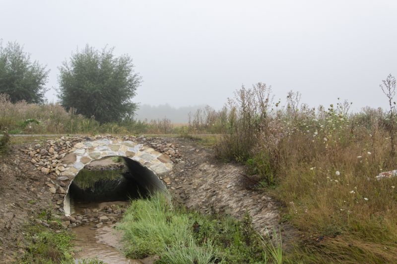 Fall Installation Scene